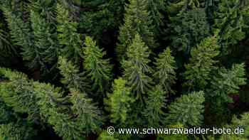 Überreste in Wald bei Loffenau gefunden: Neues Phantombild des BKA - wer kennt diesen Toten?