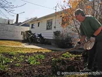 Growing Things: Fertilizer isn't for every plant