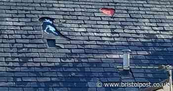 Meet the rooftop Banksy making art from tiles