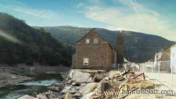 Versicherer: Versicherungskammer verdient wieder deutlich mehr