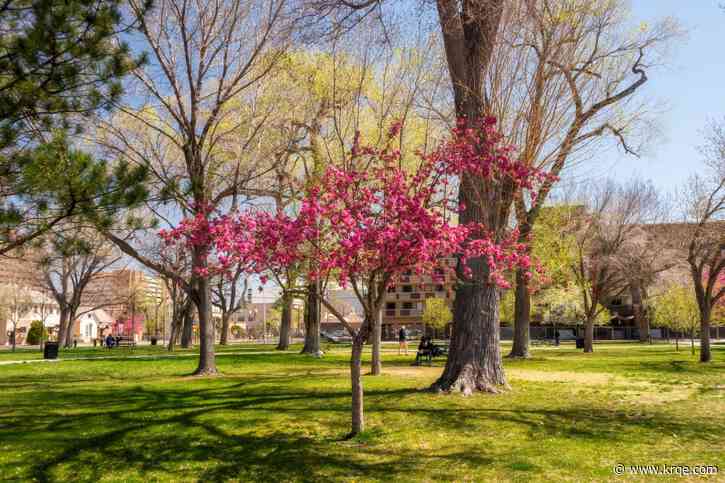 What's happening around New Mexico April 14 - April 20