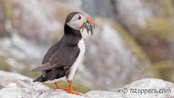 The Damage We Inadvertently Do in Photography