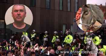 10 years today since infamous Tyne-Wear derby violence which saw Newcastle United fan punch police horse Bud