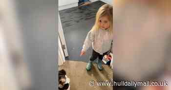 Toddler blames her family's dog for tiny handprints on freshly-painted wall