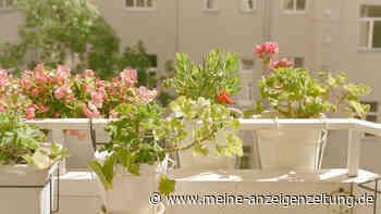 Drei Dinge sollten Sie beim Balkonputzen besser nicht mehr vergessen
