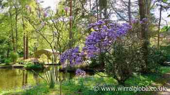 Two secret gardens open in Neston under National Garden Scheme
