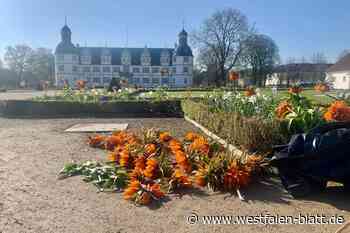 Unbekannte verwüsten Barockgarten in Schloß Neuhaus
