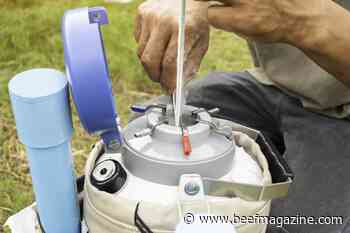 Artificial insemination: The supplies and best practices to follow