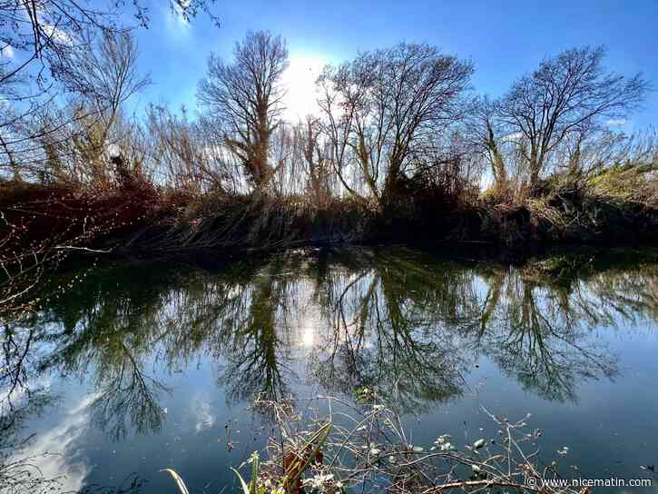 Sécheresse critique dans nos départements: en Paca, "la lente et constante diminution des débits des cours d’eau"