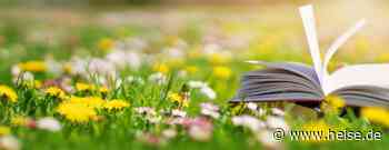 UI-Tool: Storybook 7.0 erweitert den Support für Vite, Next.js und SvelteKit