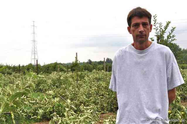 Brandweer rukt massaal uit naar fruitkweker die net wat kartonnen dozen aan het opstoken is als F-16 door geluidsmuur knalt