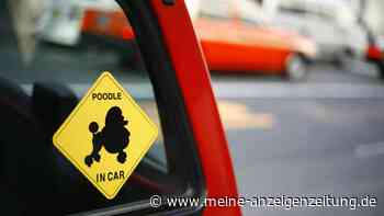 Verbotene Auto-Aufkleber: Bei manchen Stickern drohen hohe Bußgelder