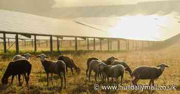 Police warning to dog owners that farmers can legally shoot their pets dead