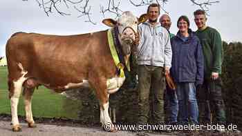 Tierprämierung: Ein Champion aus Zwerenberg