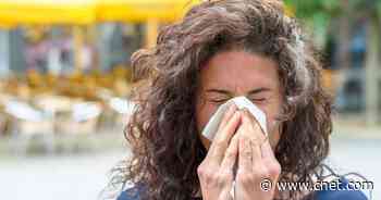 The Sneaky Signs You Might Have Seasonal Allergies     - CNET