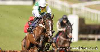 Supercomputer picks out 66/1 winner for Grand National 2023 glory