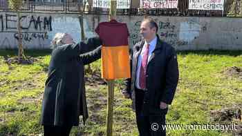 A Villaggio Breda arriva il bosco urbano. Gli abitanti: "Qui anche 500mila metri cubi di cemento"