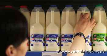 Supermarket price war as Aldi, Asda and Lidl follow Tesco and Sainsbury's to cut cost of milk