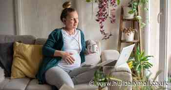 ADVERTORIAL: The handy new NHS website helping families embark on a lifelong health and happiness journey in Hull