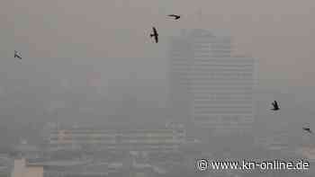 Feine Lösung gegen feinen Staub