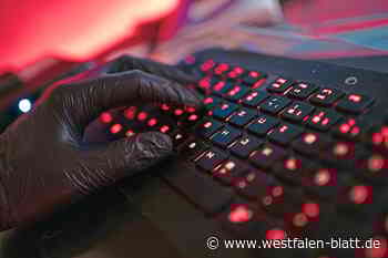 Beverungen: Durchsuchung wegen Cyberkriminalität wurde gestoppt