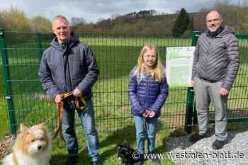 Leinen los auf der neuen Hundewiese in Bad Wünnenberg