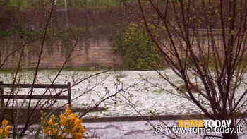 Cambiamento climatico, 250 milioni di danni all'agricoltura laziale: la regione valuta il risarcimento