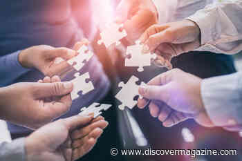 The Secrets Of Cooperation