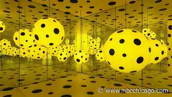 ‘Dots Obsession,' an Immersive Exhibit About Polka Dots, is Coming to Chicago's WNDR Museum