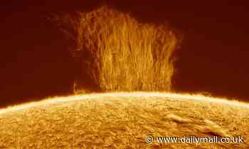Pictured: 'Plasma Waterfall' forms on sun