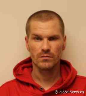 Kingston, Ont. police warn of dangerous man driving stolen car erratically