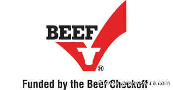 Thinking Sustainably: How Caring for the Land and High-Quality Beef Go Hand-In-Hand