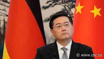 China won't sell weapons to Ukraine or Russia, foreign minister says