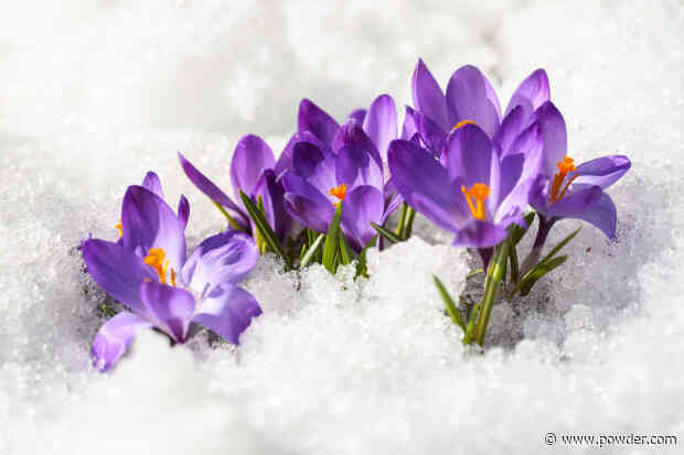 Winter Will Come Roaring Back Next Week (Ski Forecast)