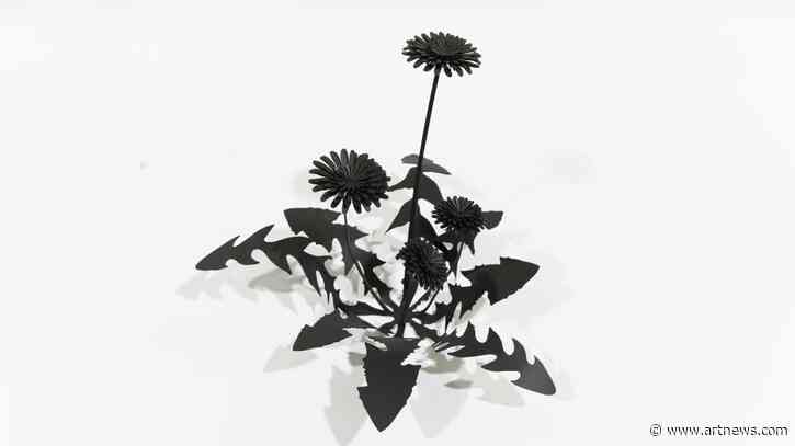 Esmaa Mohamoud Finds New Understandings of Blackness in Dandelions and Cadillacs