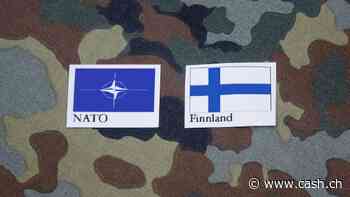 Schutz vor möglichem Migranten-Strom: Finnland beginnt Bau von Grenzzaun zu Russland