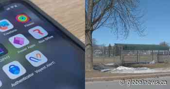 City services at your fingertips: Fredericton launches new app 