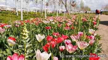 Groß, nachhaltig, bunt: Bundesgartenschau soll Vorbild sein