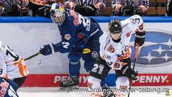 Grizzlys stibitzen Rohdiamant aus berühmter RB-Schleiferei