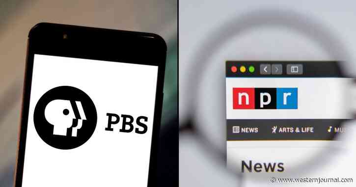 Fact-Check: How Much of PBS, NPR Revenue Comes from Government Funding?