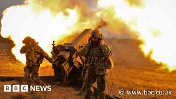 What the leaked files show