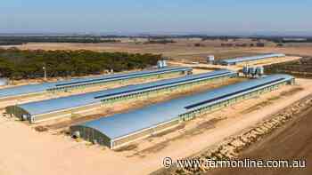 Broiler farm for sale in SA's Murraylands offers rare opportunity
