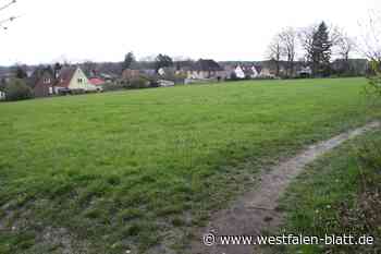 Soll Hausbau in Amshausen bis zum Naturschutzgebiet möglich bleiben?