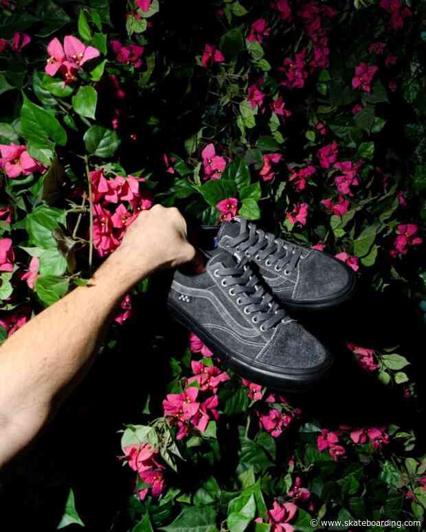 Vans Skateboarding and Quasi Come Together Once Again for New Collection