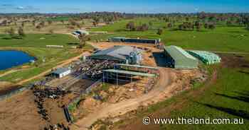 One of Australia's top dairy farms for sale walk-in walk-out