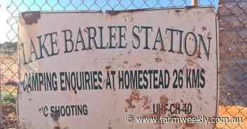 Carbon projects give Southern Rangelands values a big kick