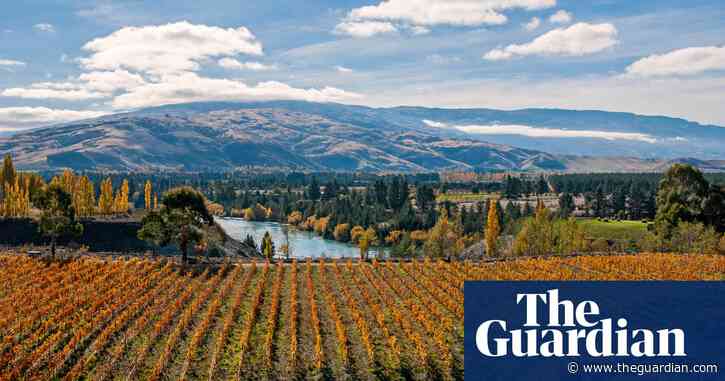 As the climate warms, New Zealand winemakers grapple with a changing landscape