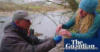 ‘It's a community coming together’: an army of volunteers fight to save their river – video