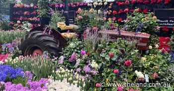 Perfect present to plant | In Fiona's Garden