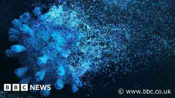 Million-year-old viruses help fight cancer, say scientists